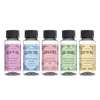 Seasonal Collection (Spring) Discovery Set
