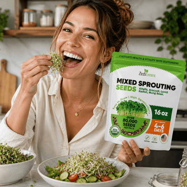 Mixed Sprouting Seeds Organic
