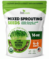 Mixed Sprouting Seeds Organic