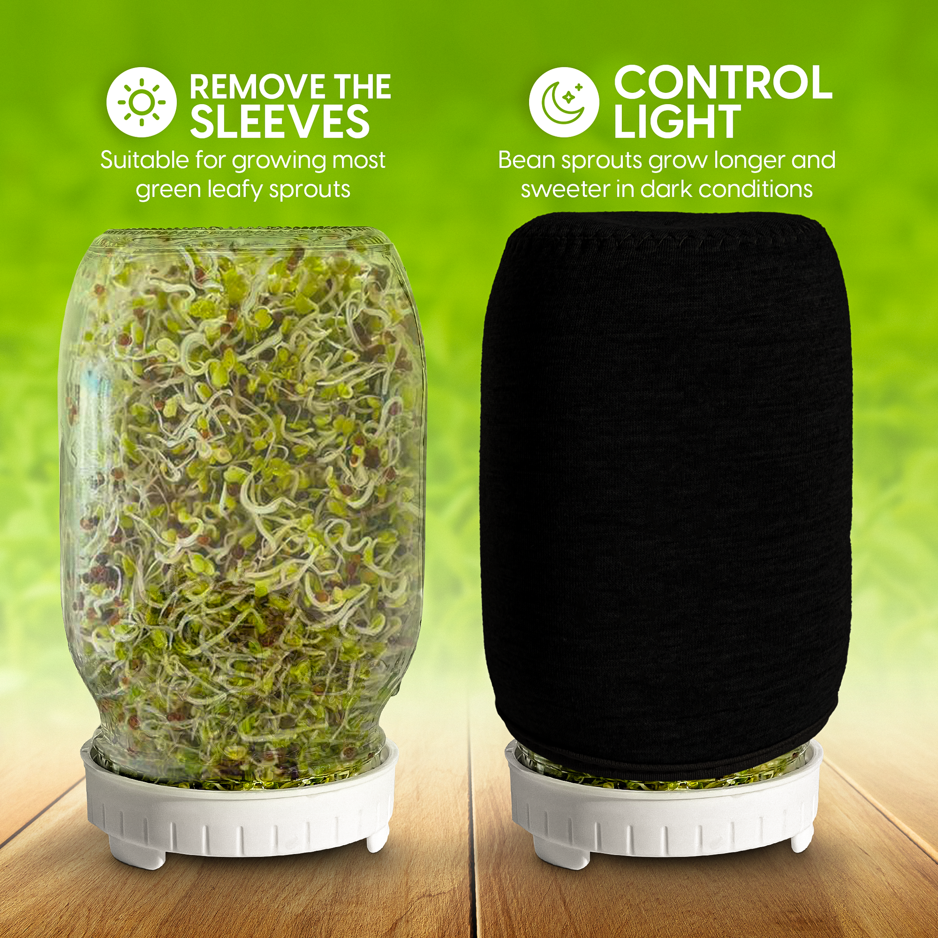 Jar Sprouts Growing Kit