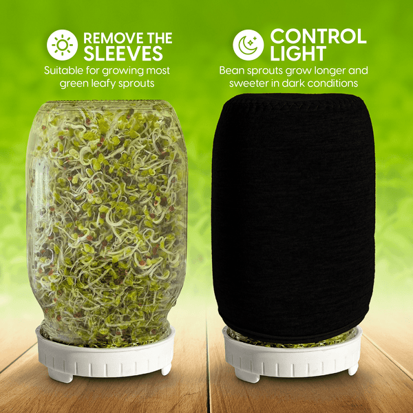 Jar Sprouts Growing Kit