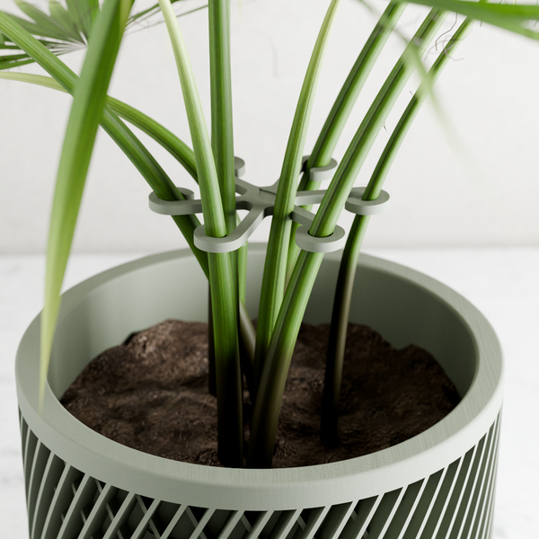 Potted plant with a decorative pot and green plant support structure on a white background