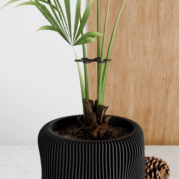 Climbing Plant Stem Support Stakes