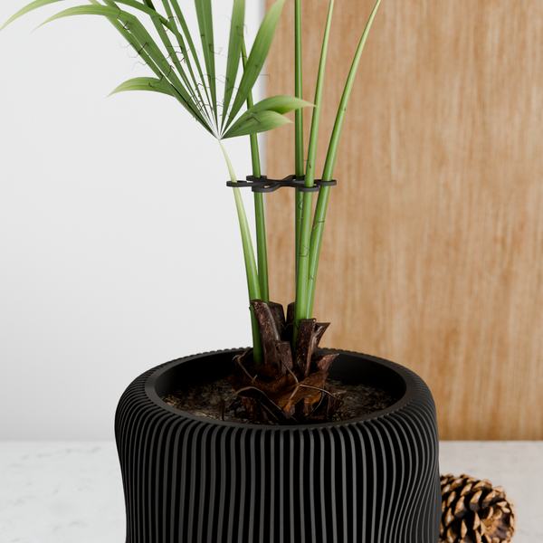 Potted plant with a black ribbed pot on a light background