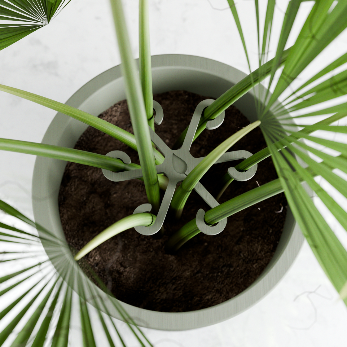 Plant support structure in a pot with green leaves on a white background