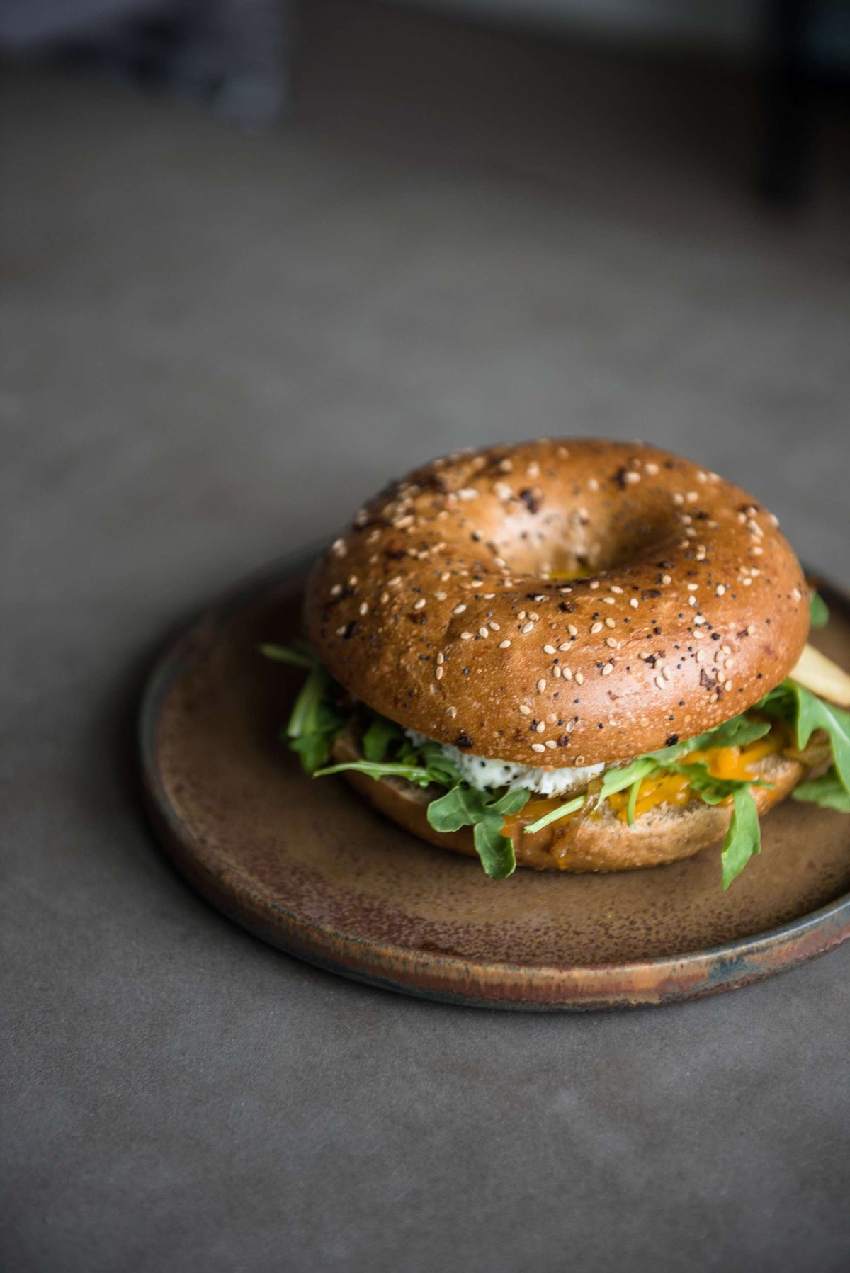 Stoneware Rust Dinner Plates