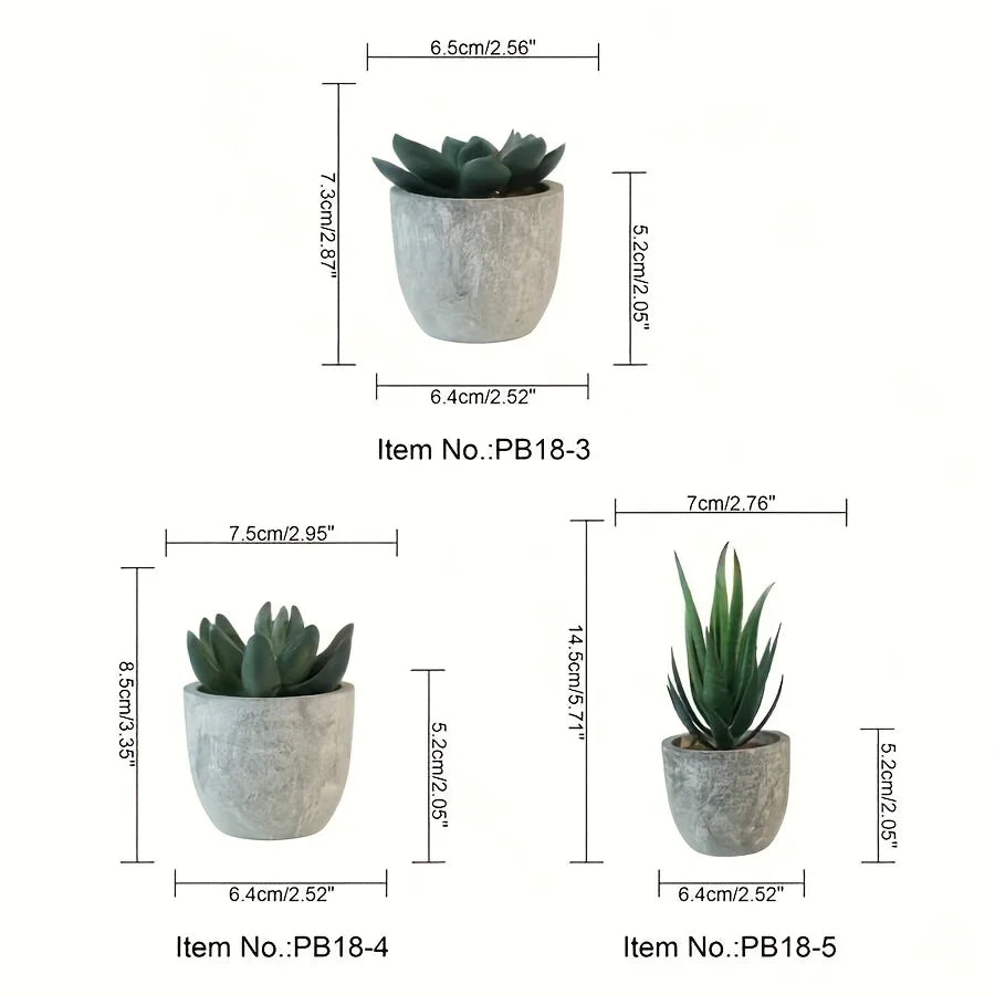 Succulent Plant Set in Concrete Pots, Low Maintenance Indoor Decor