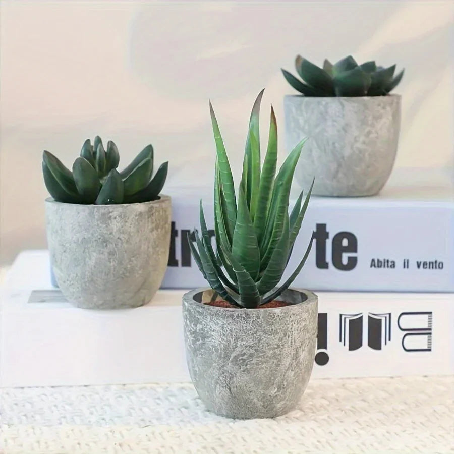 Succulent Plant Set in Concrete Pots, Low Maintenance Indoor Decor