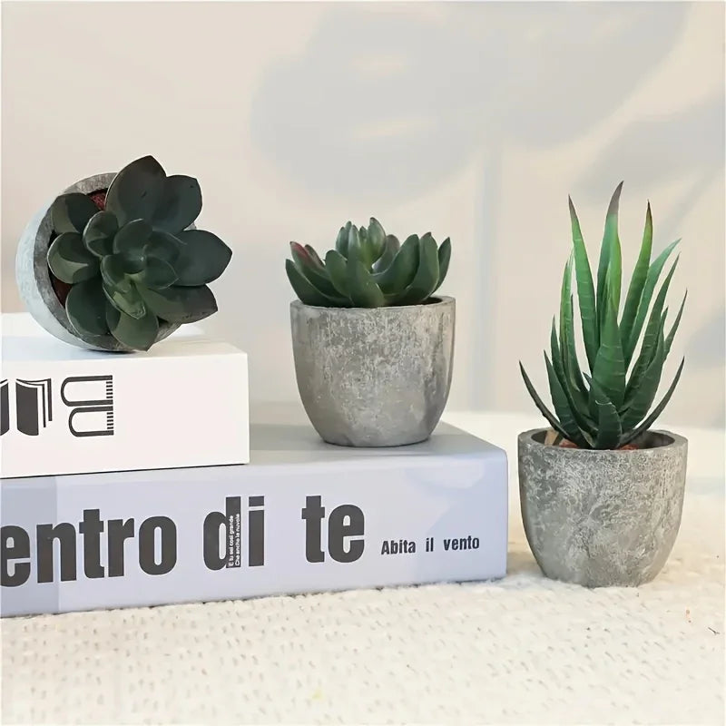 Succulent Plant Set in Concrete Pots, Low Maintenance Indoor Decor