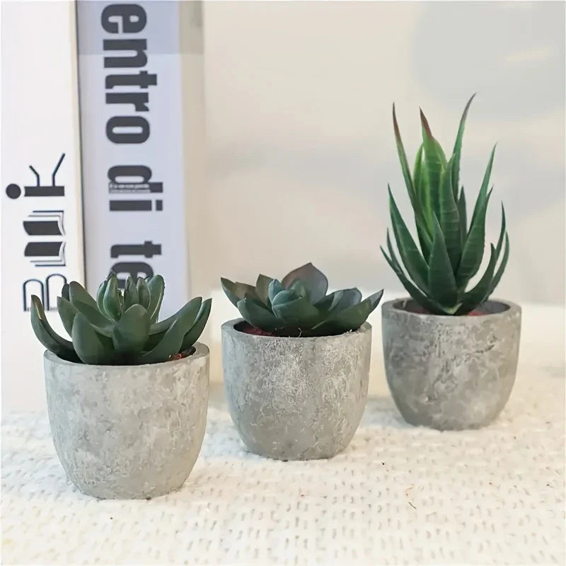 Succulent Plant Set in Concrete Pots, Low Maintenance Indoor Decor