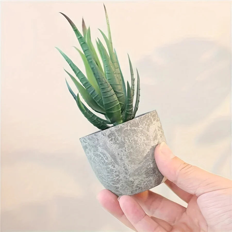 Succulent Plant Set in Concrete Pots, Low Maintenance Indoor Decor