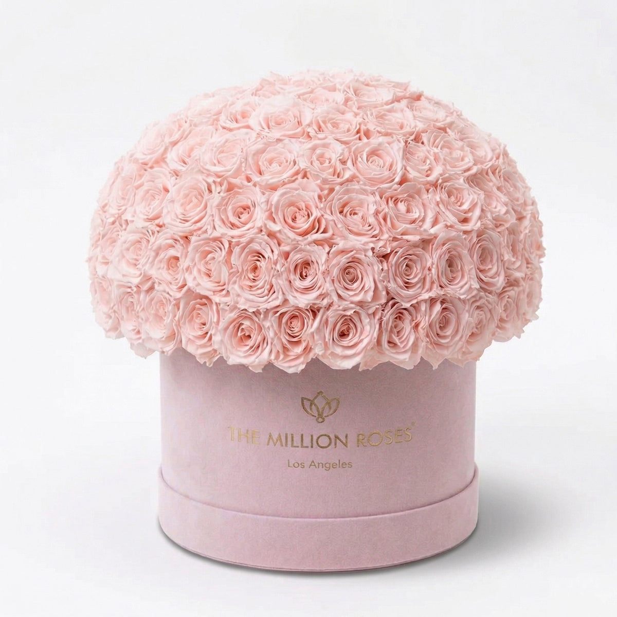 Supreme Light Pink Suede Superdome Box | Light Pink Roses