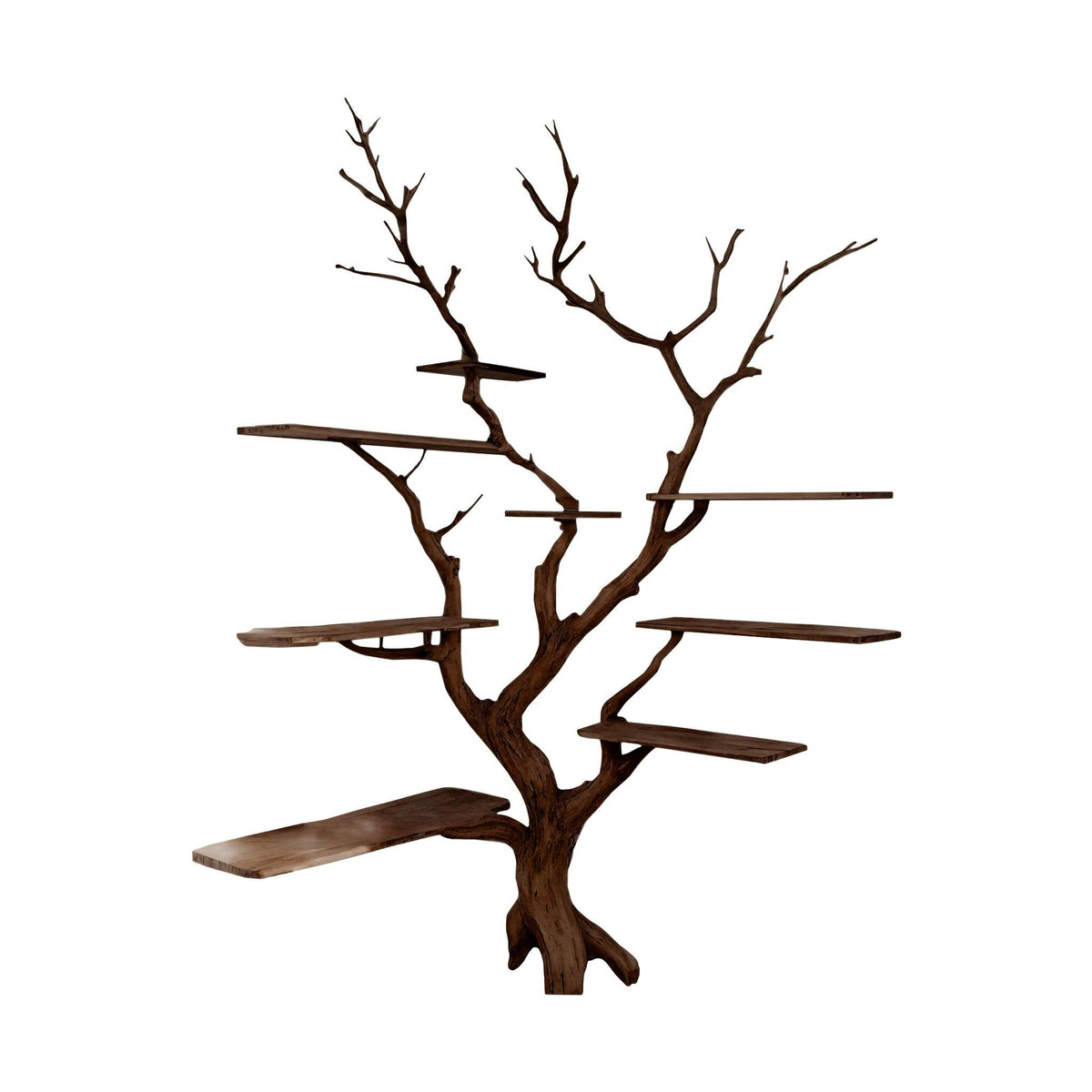 Sylva Organic Modern Solid Wood Tree Bookshelf