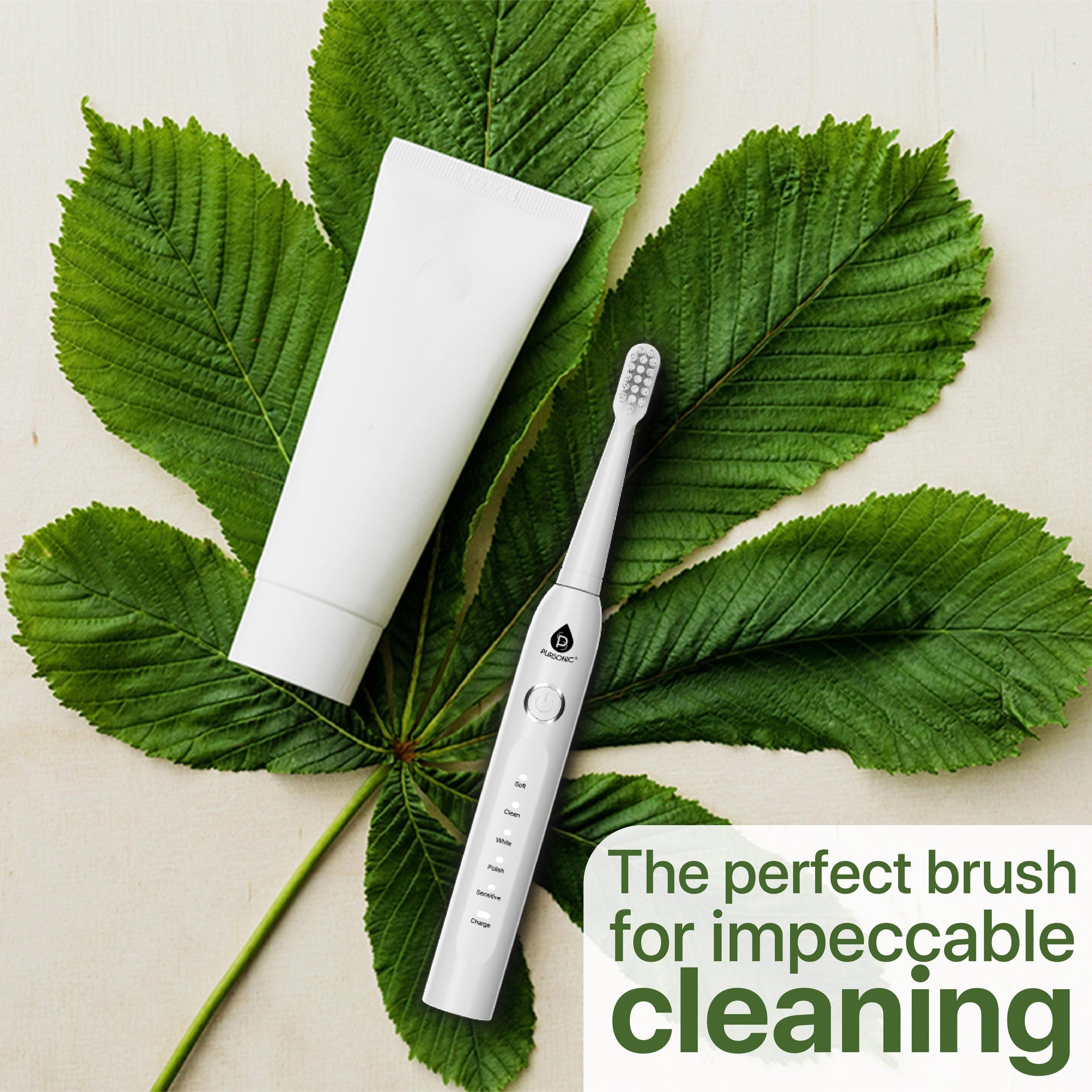 USB Rechargeable Electric Toothbrush Pursonic