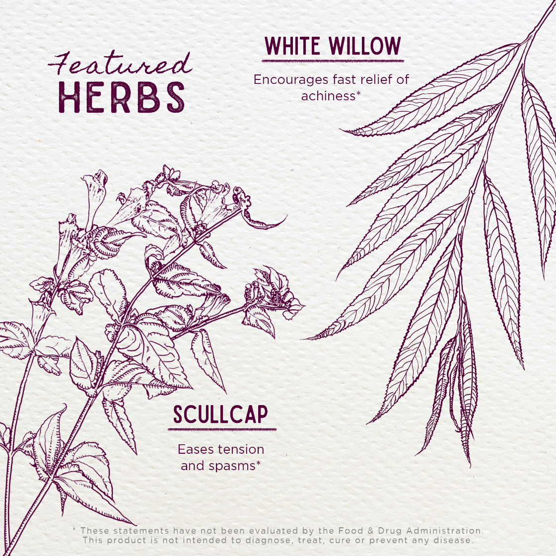 Illustration of herbs with text on a light background