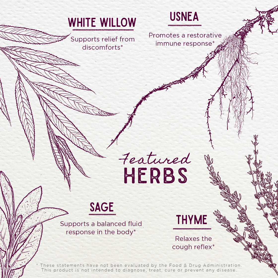 Illustrations of herbs with their names and benefits on a light background