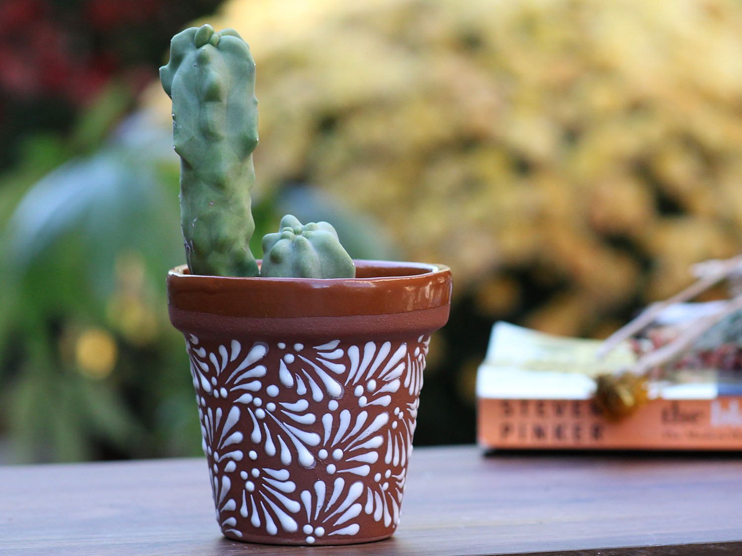 GARDEN VASE POT