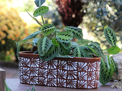 CANOE PLANTER