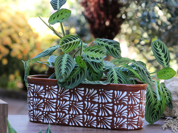 CANOE PLANTER