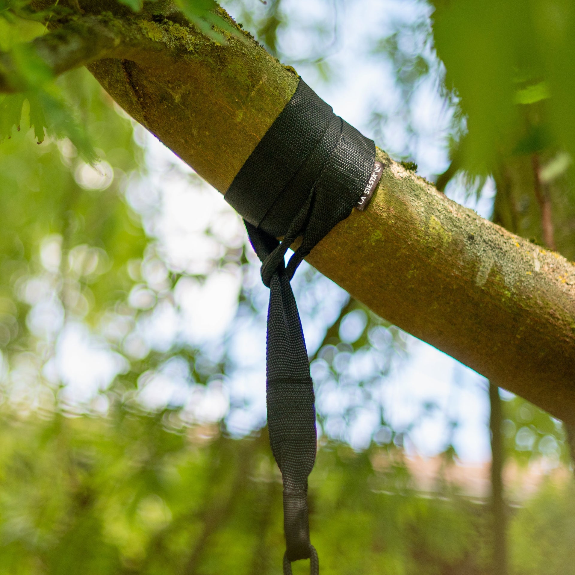 TreeMount 1rope Black - Tree and Pole Suspension Set for Hammock Chairs LA SIESTA