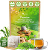 Premium Moringa Ginger Peppermint Herbal Tea - 60 Tea Bags