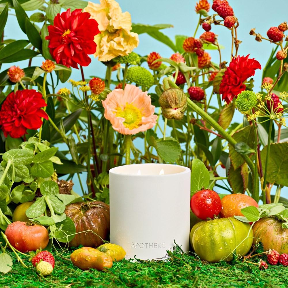 Tomato Tarragon 2-Wick Candle