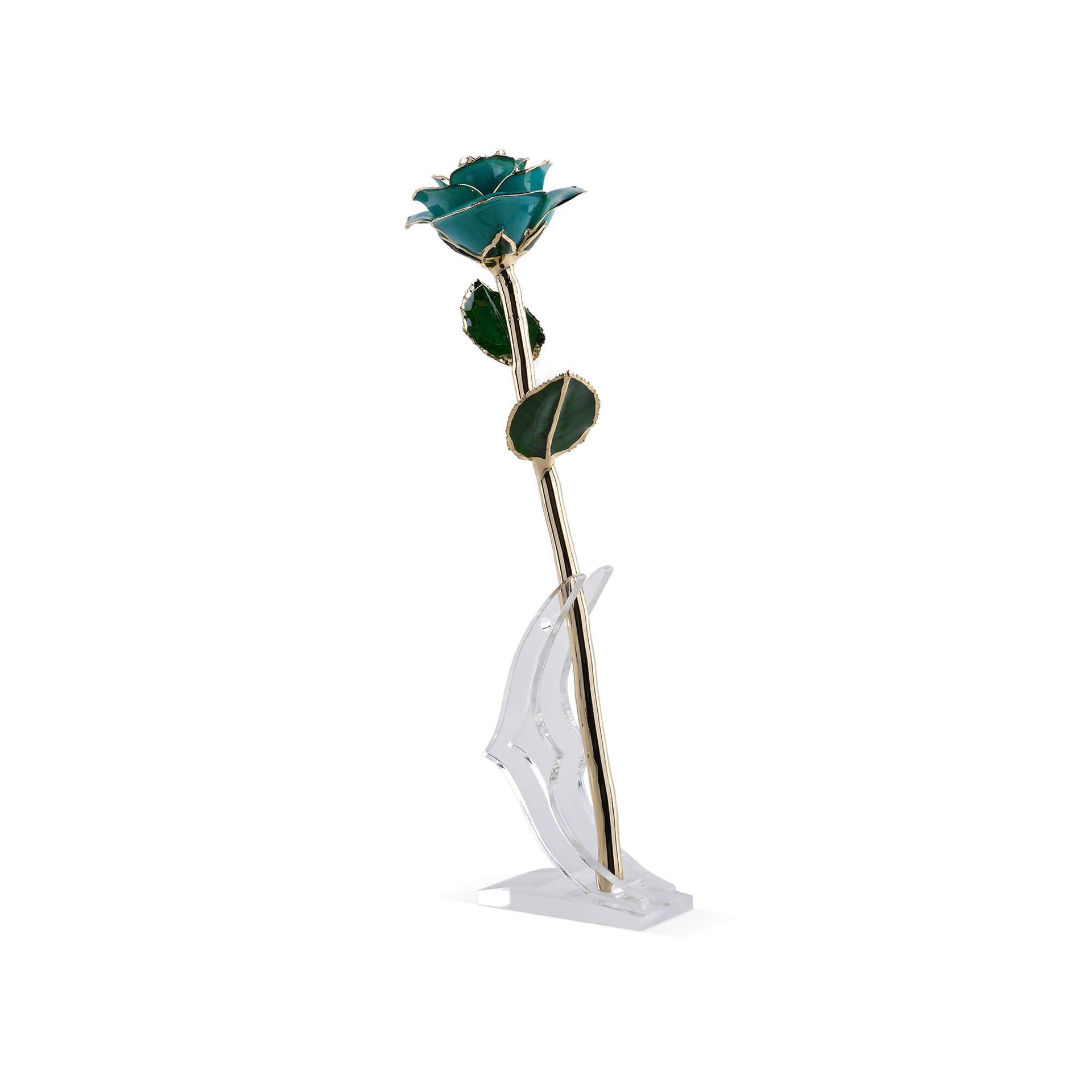 Timeless Rose (Teal)