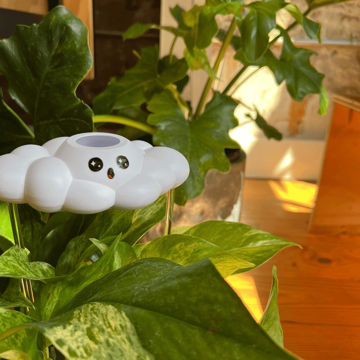 Cosmo the Cloud