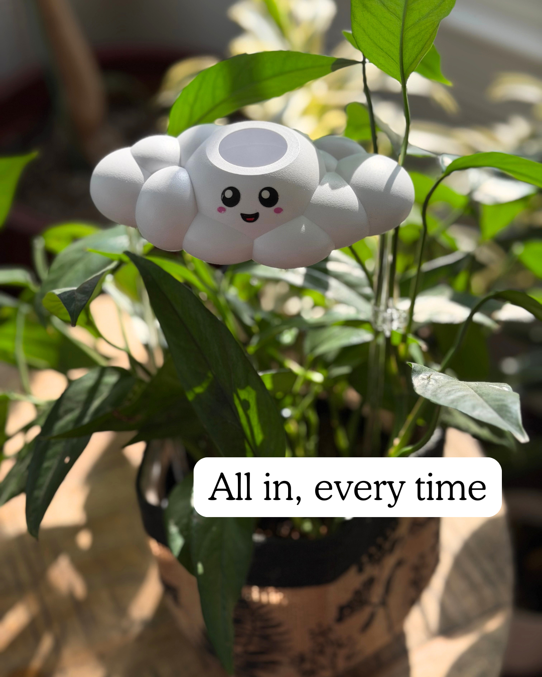 Skylar the Cloud