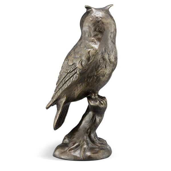 Thoughtful Owl on Branch