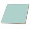 3dRose InspirationzStore Solid Colors - Plain mint blue - solid color - light turquoise-grey-gray - modern contemporary simple pastel teal - Tiles (ct_159844)