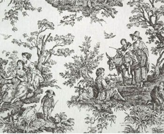 Toile-tally Zonked