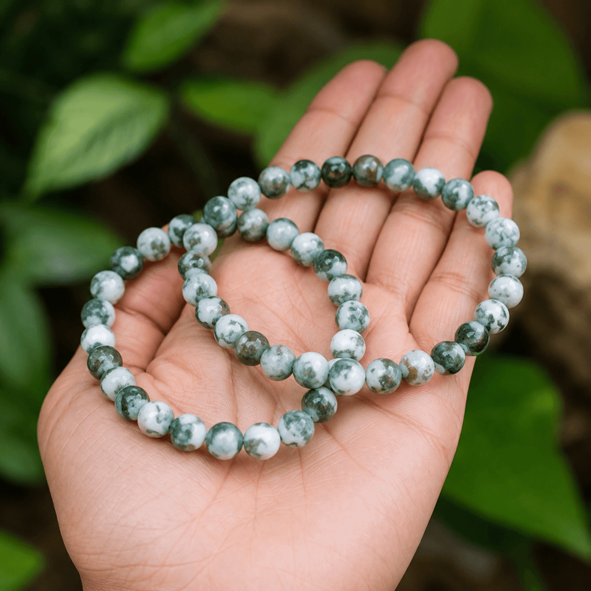 Tree Agate Bracelet (Sense of Peace and Inner Tranquility)