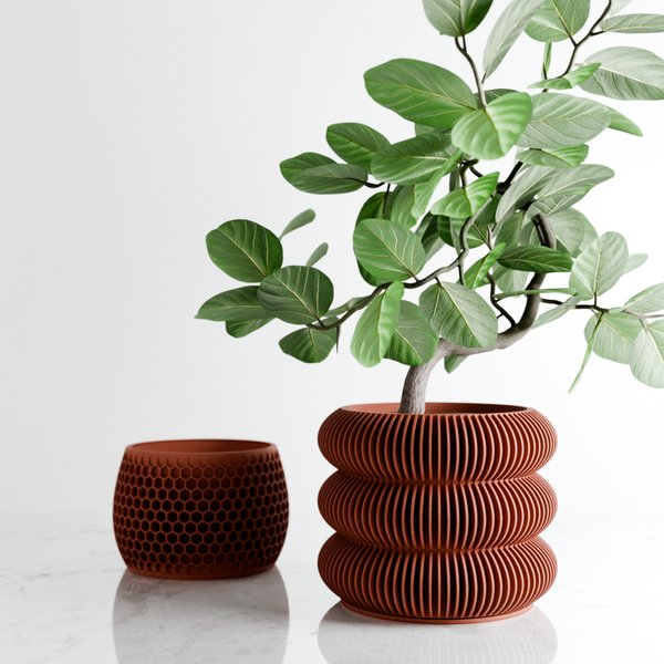 Two terracotta planters with a small tree on a light background