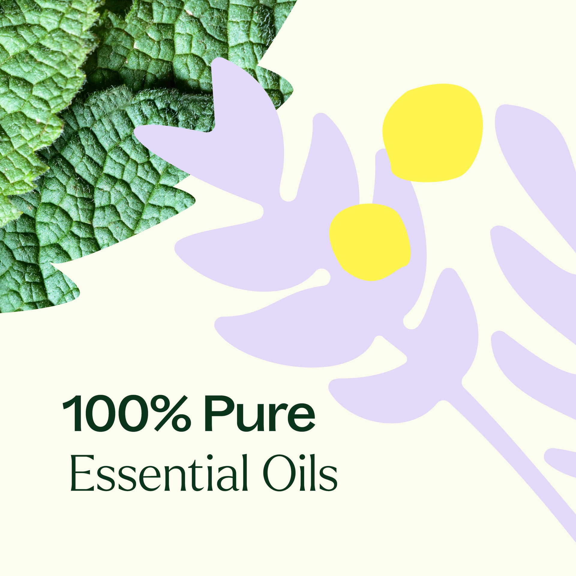 True Expression (Throat Chakra) Essential Oil