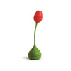Tulip - Red