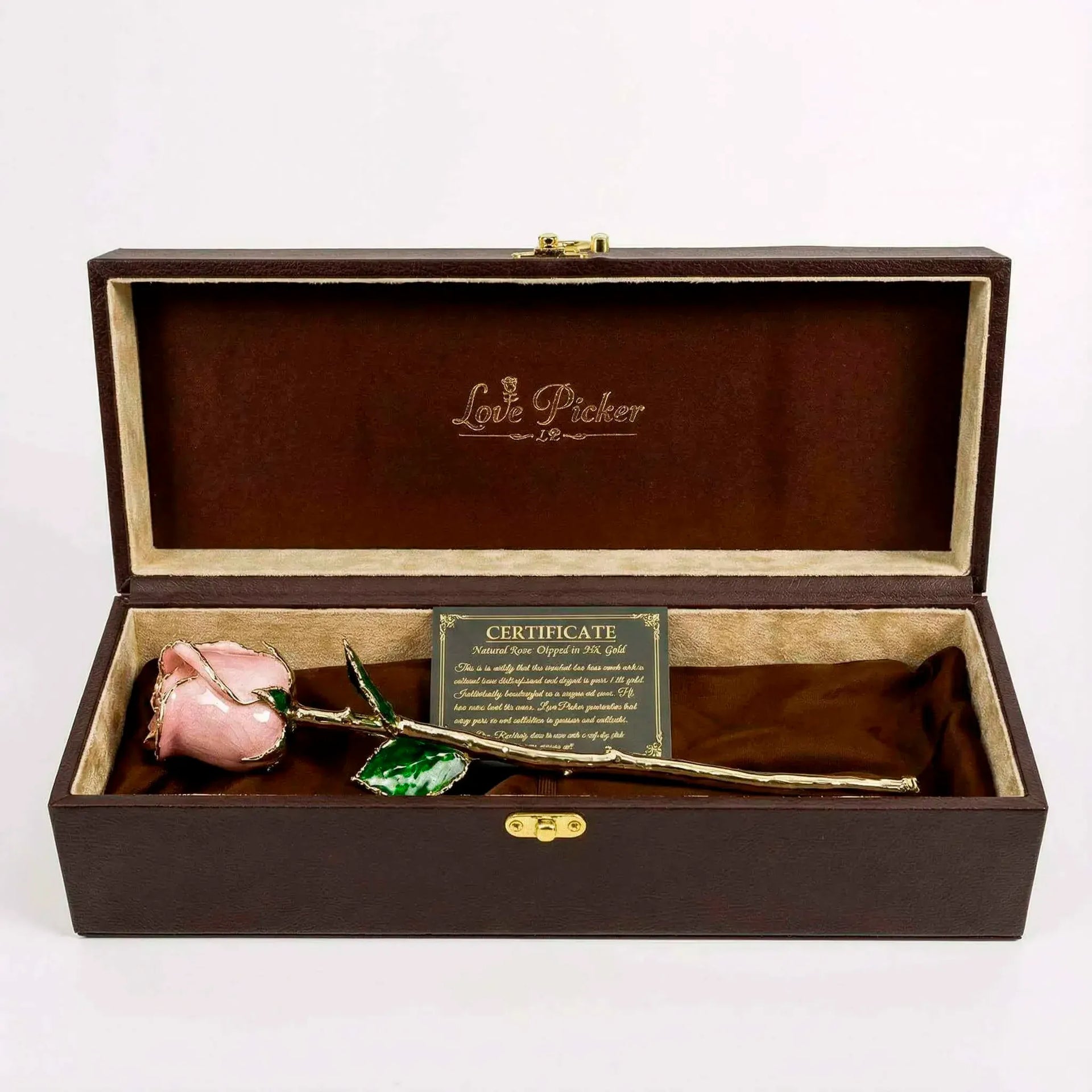 Umber Signature Selection Box - 24K Gold Rose (Choose Your Color)
