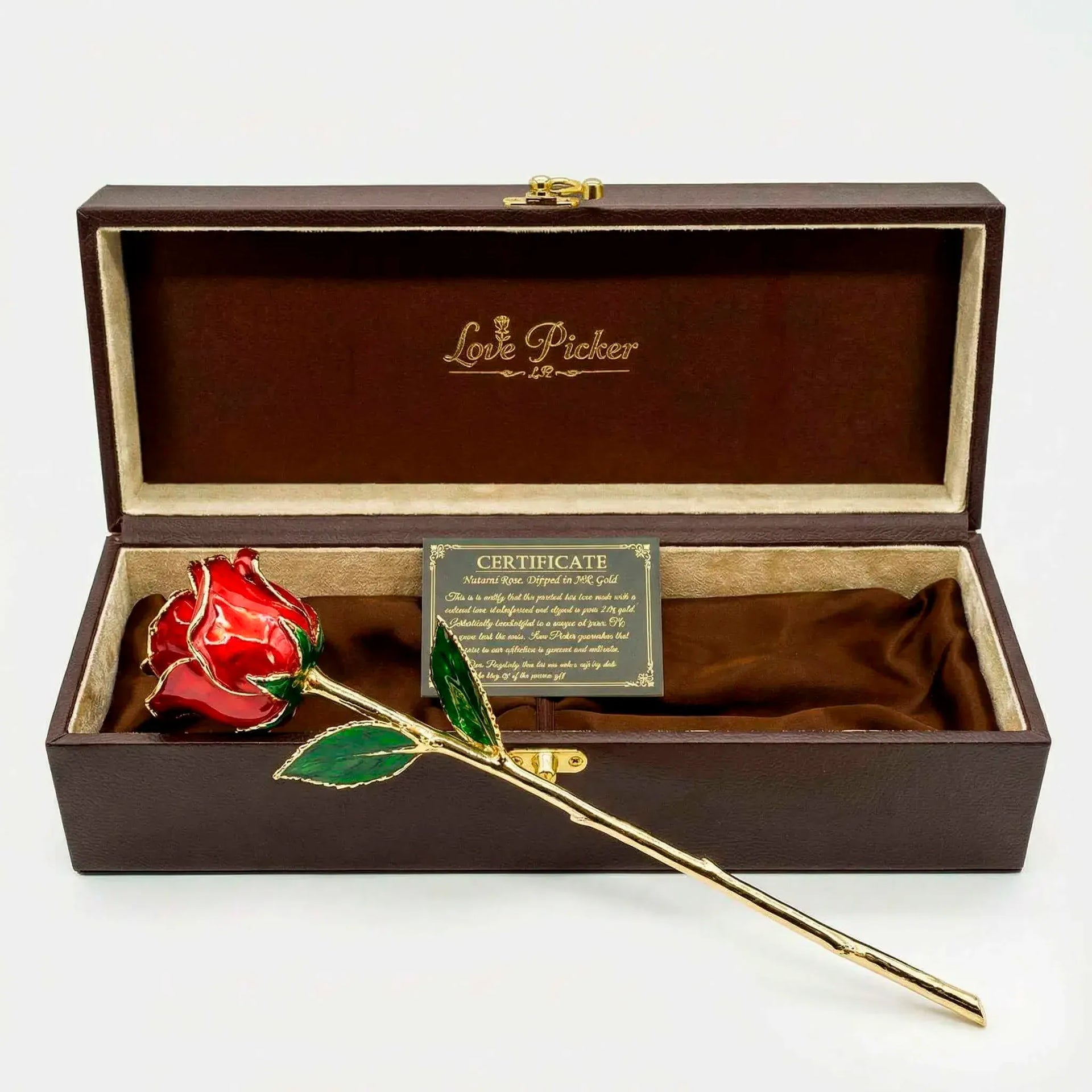 Umber Signature Selection Box - 24K Gold Rose (Choose Your Color)