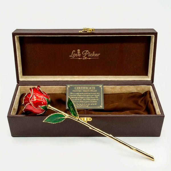 Umber Signature Selection Box - 24K Gold Rose (Choose Your Color)