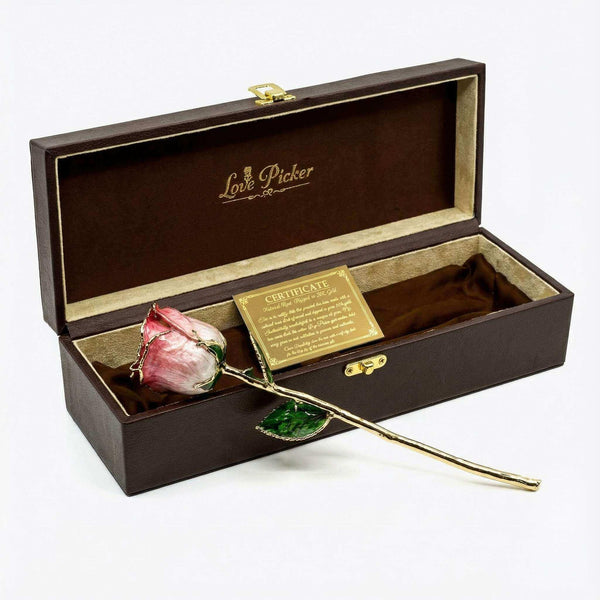 Umber Signature Selection Box - 24K Gold Rose (Choose Your Color)