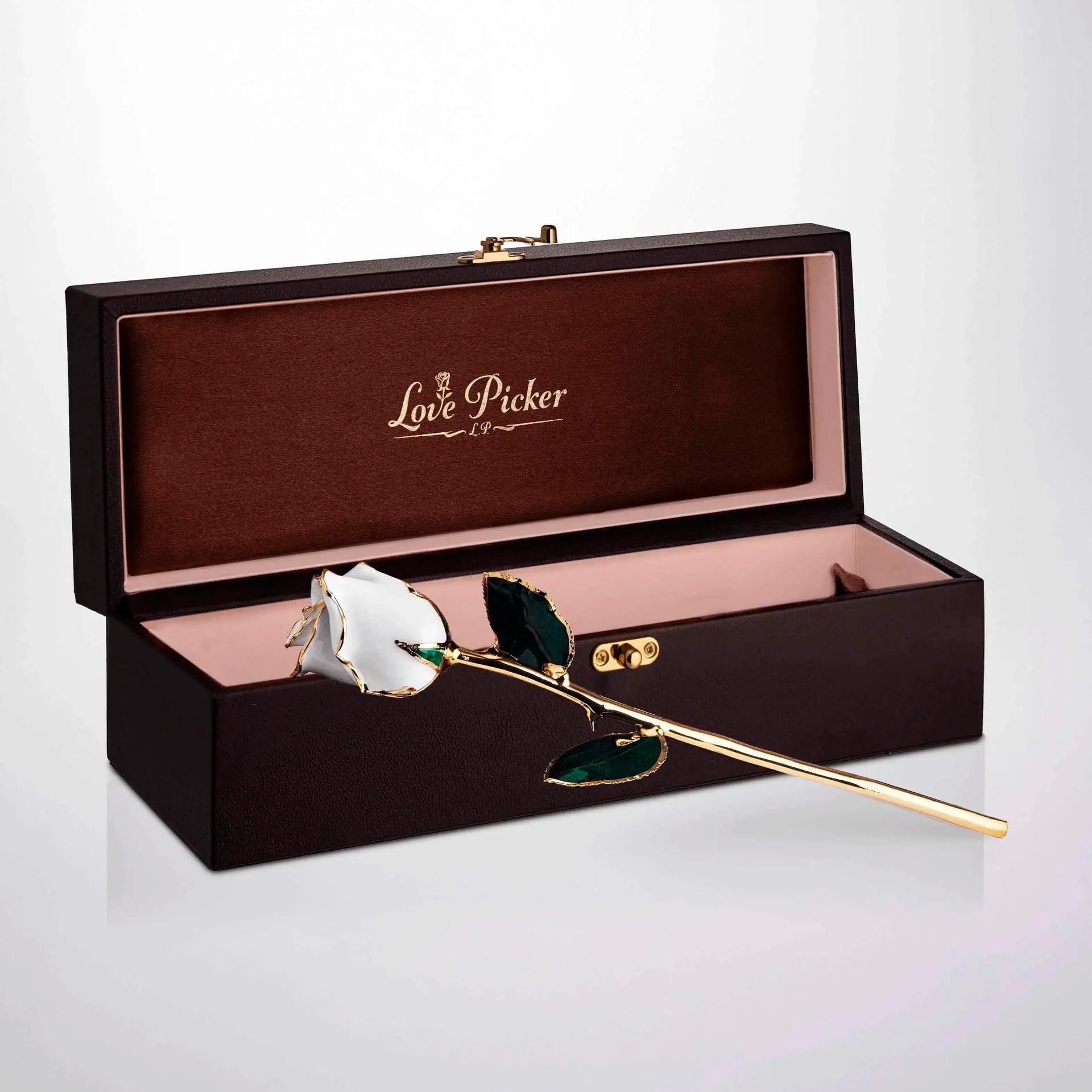 Umber Signature Selection Box - 24K Gold Rose (Choose Your Color)