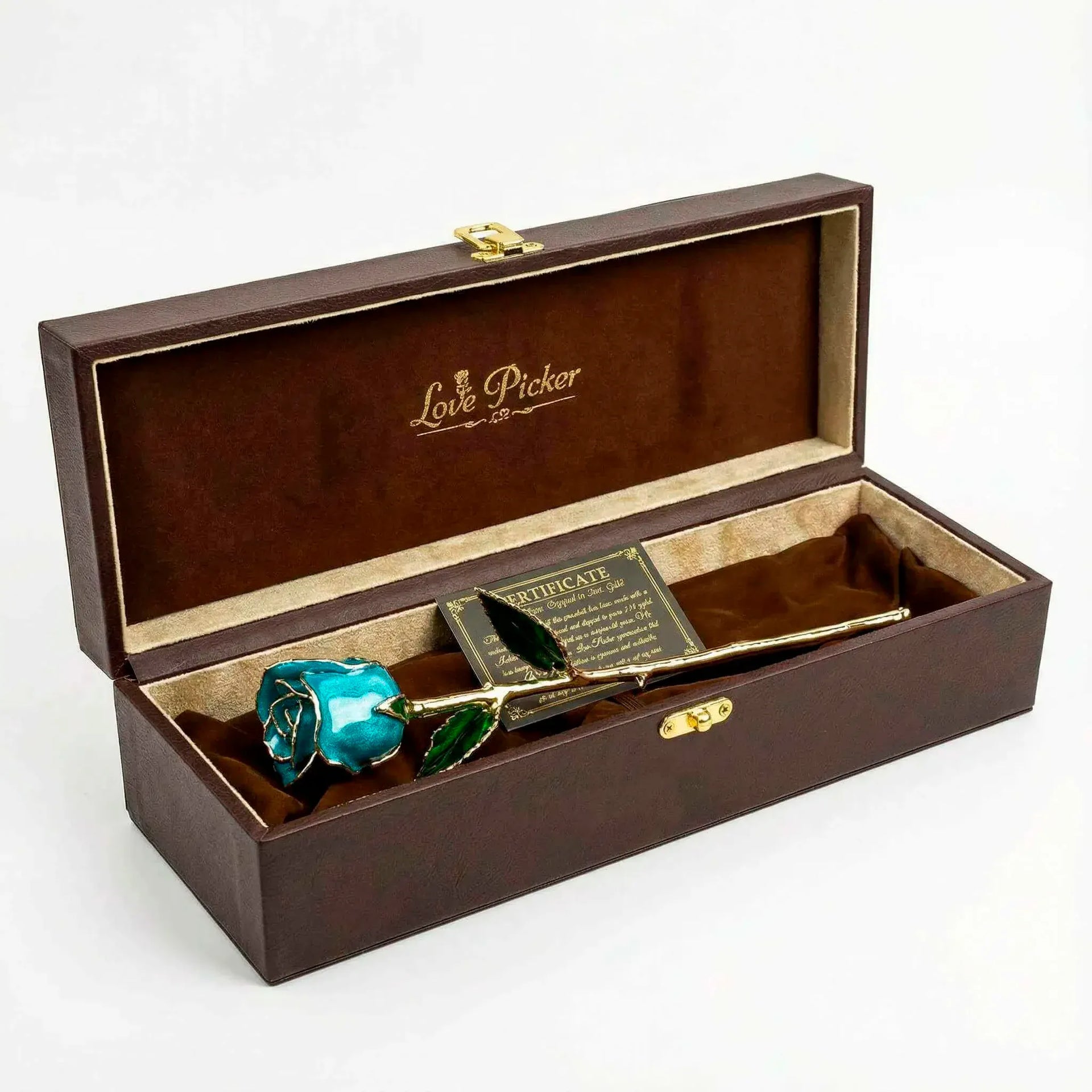 Umber Signature Selection Box - 24K Gold Rose (Choose Your Color)