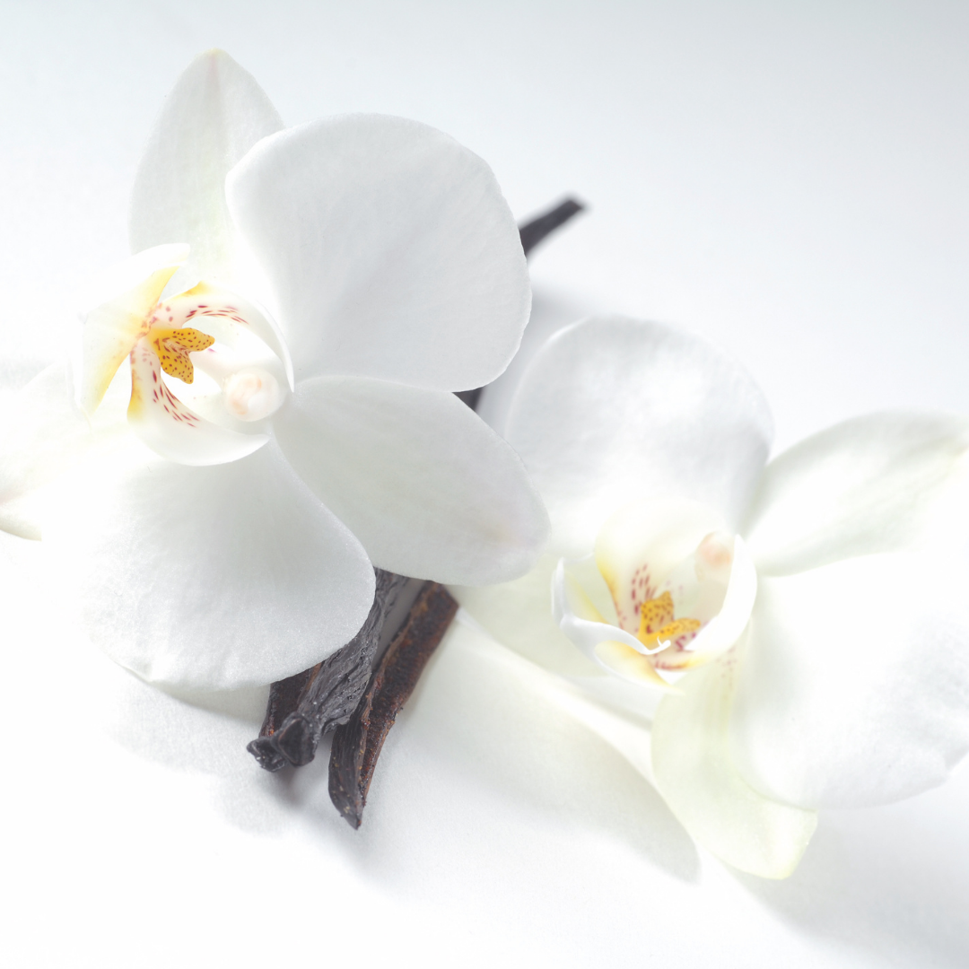 Madagascar Vanilla
