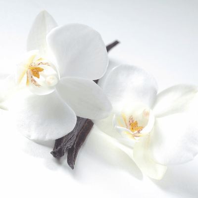 Madagascar Vanilla