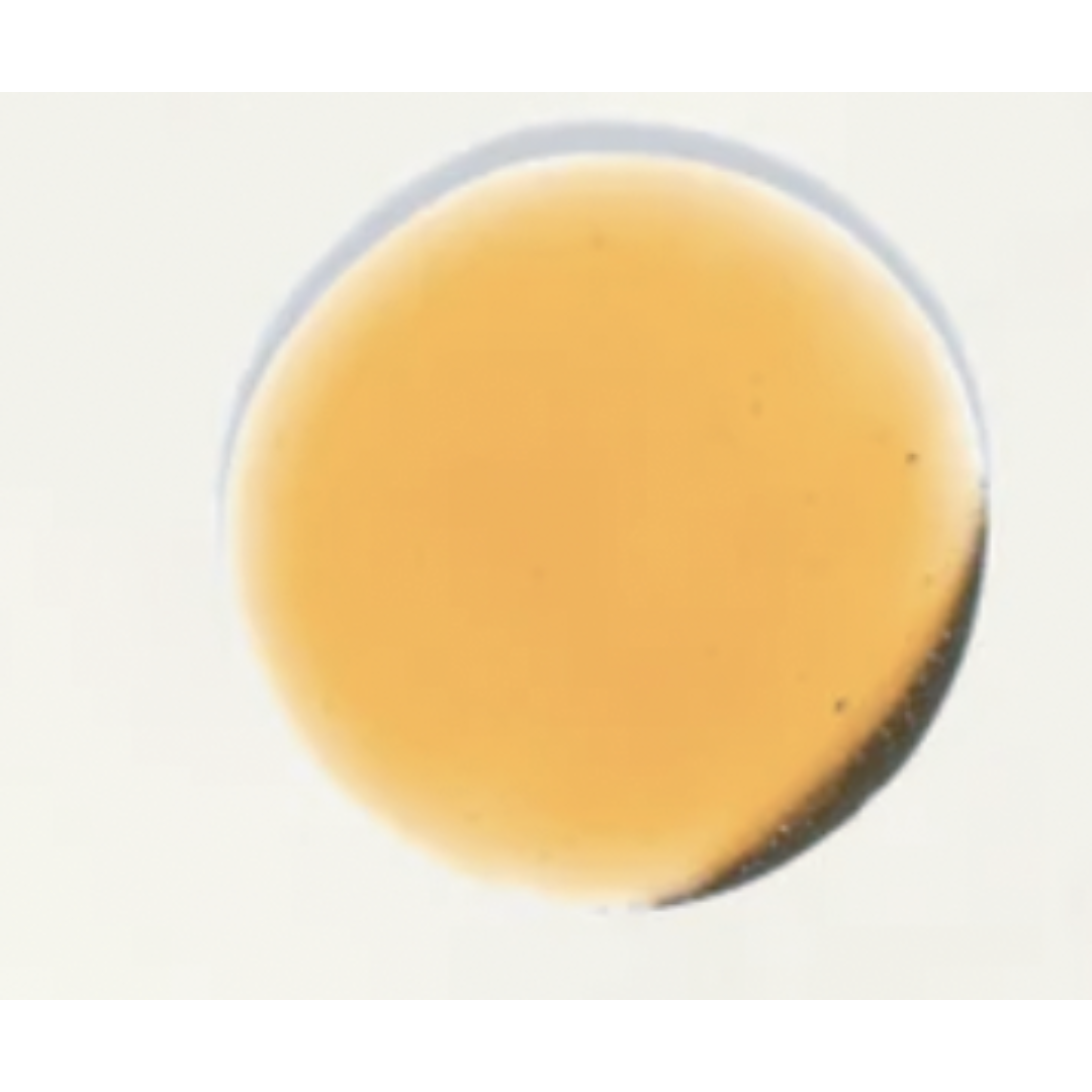 TIGHT AND BRIGHT, an Advanced Gentle Phyto-Retinol and Vitamin C Serum, 12 Innovative Technologies, 55% High-Performance Cosmeceuticals