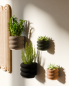 Wall Planter - Triple BUBBLES
