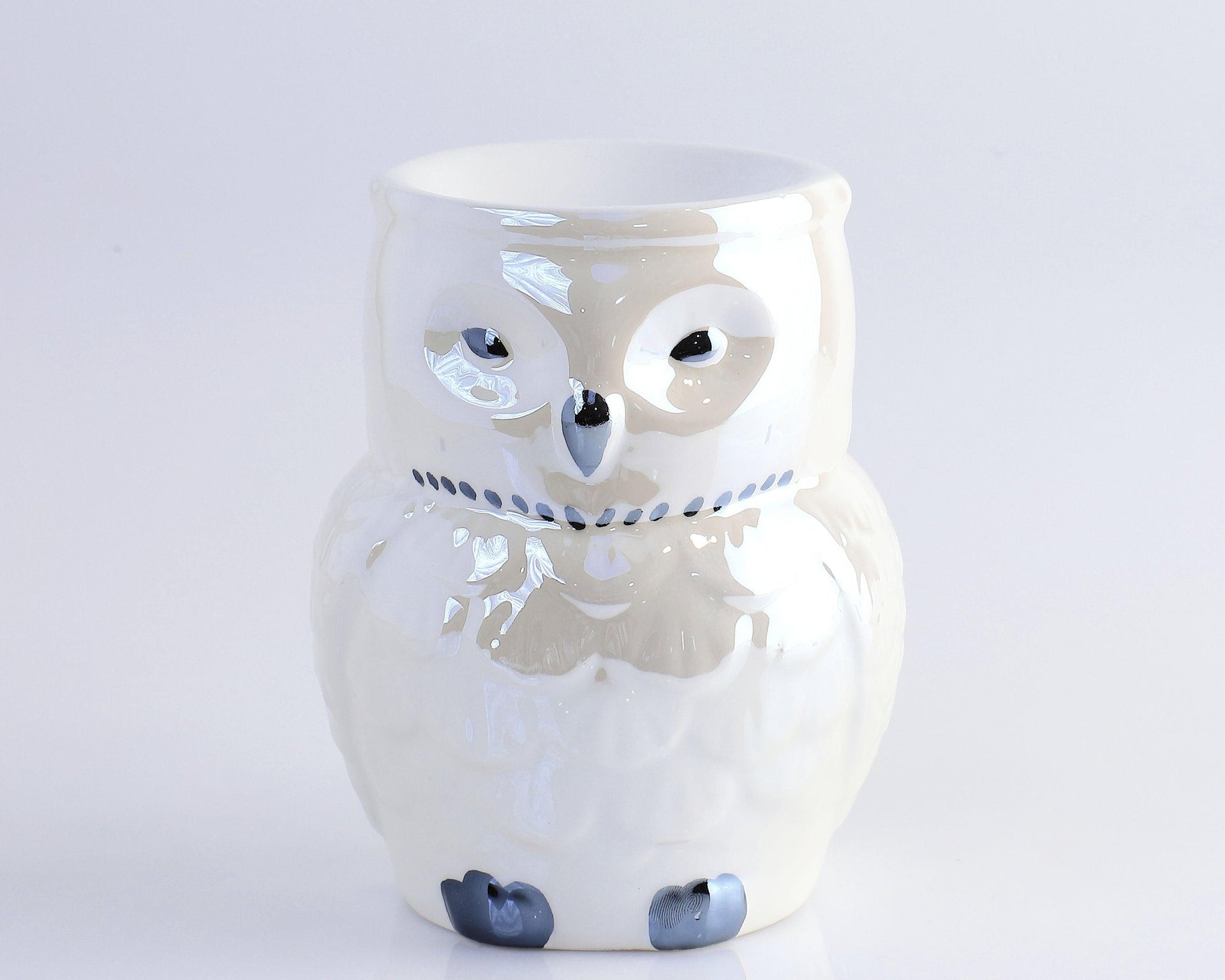 Iridescent Owl
