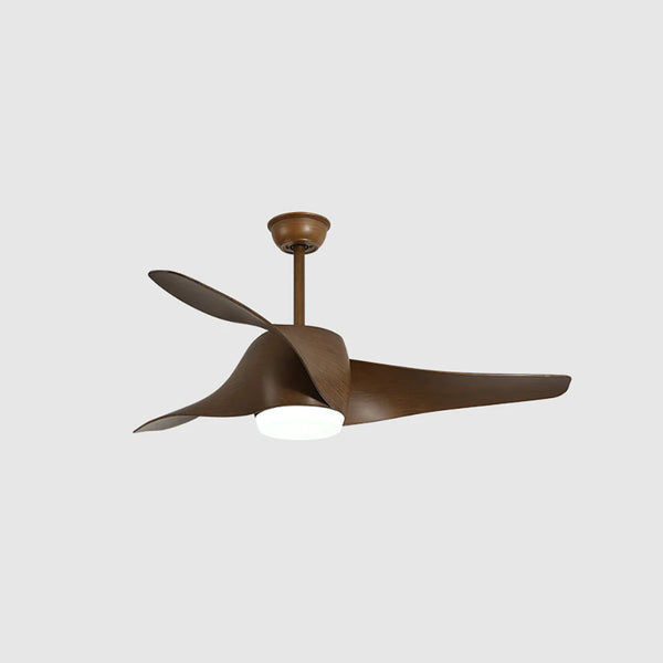 Vintage Akash Ceiling Fan Light