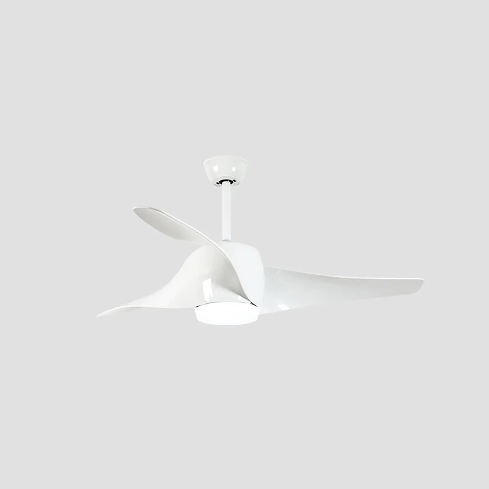 Vintage Akash Ceiling Fan Light