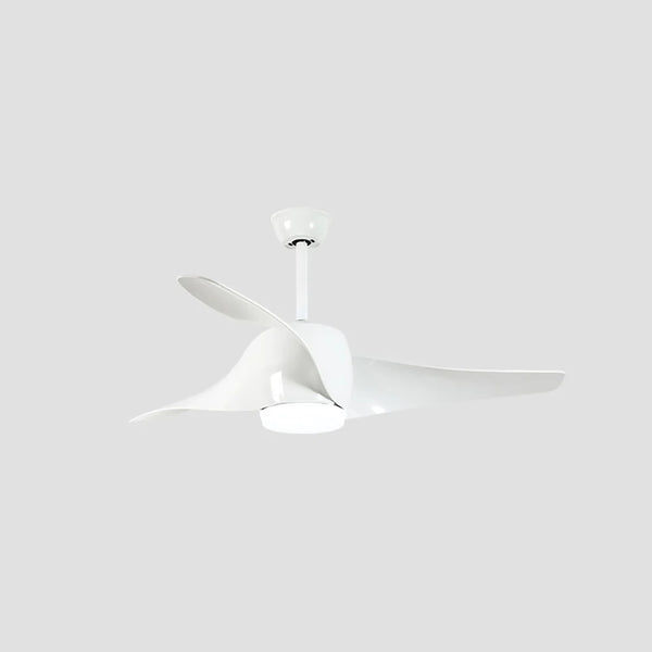 Vintage Akash Ceiling Fan Light